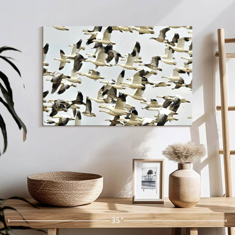 Crowle Flying Snow Geese, 16" H x 24" W