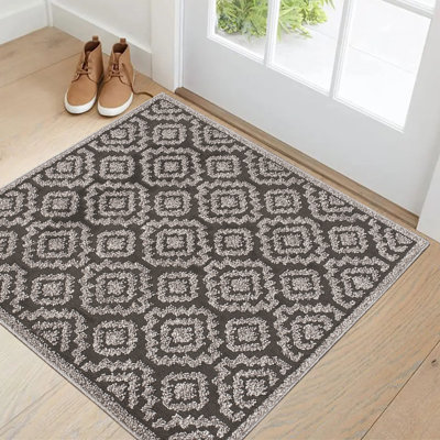 Benaiah Indoor Doormat Washable Doormat for Entryway w/ Non Slip Backing