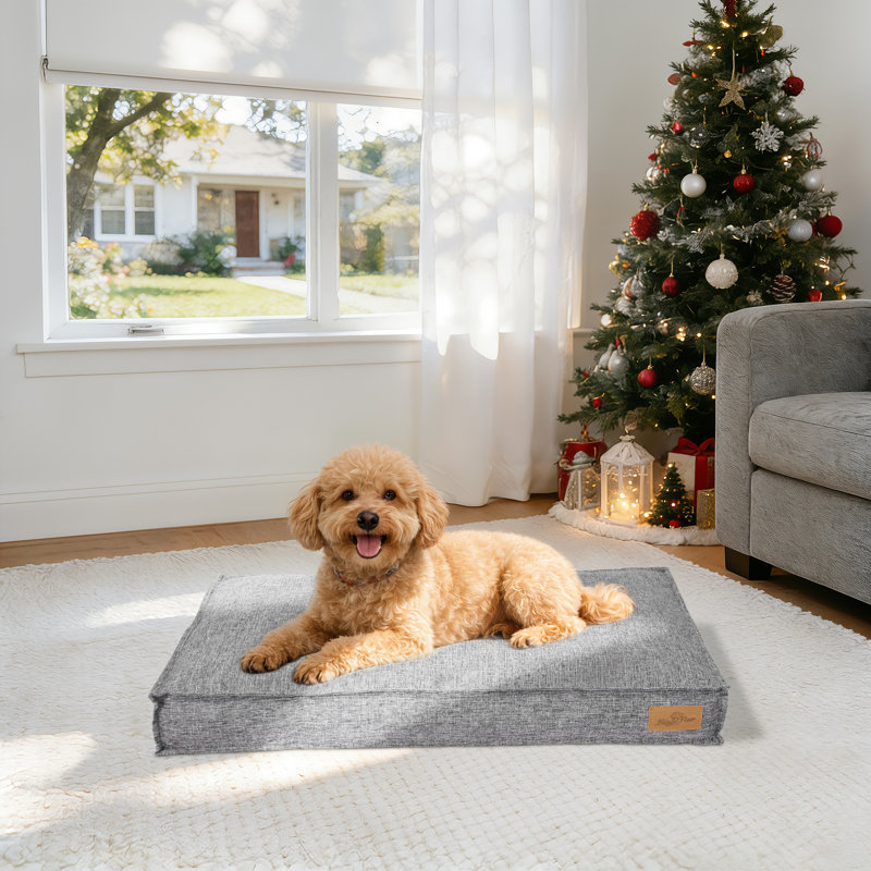Pet Bed Firm Support Crate Mattress, Small (10cm H x 75cm W x 50cm D), Grey