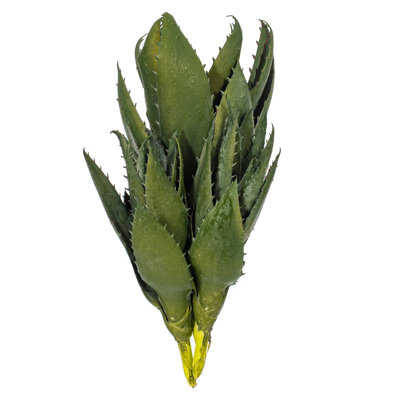 9 plantes