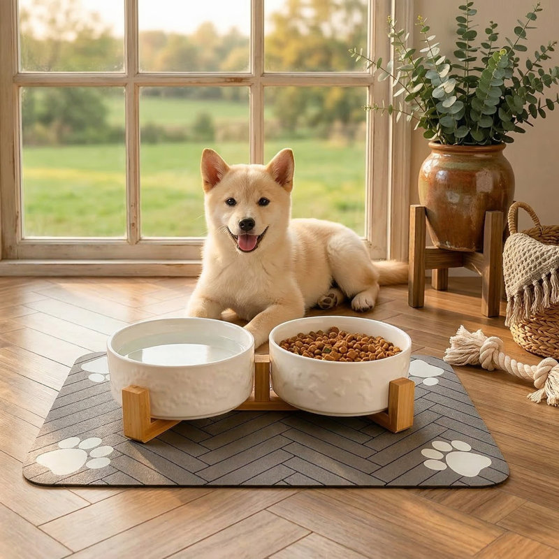 Ensemble de 3,5 bols en céramique pour chien de 3,5 po avec support en bois et tapis imperméable, base surélevée et antidérapante, 28,7 oz, pour chiens de taille moyenne
