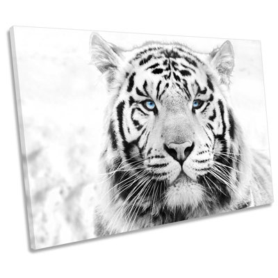 White Tiger Face - Wrapped Canvas Print