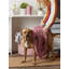 Tapis pour animaux Bangor Rose Paw-1148924690