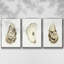 «Neutral Oyster Study I», ensemble de 3 toiles tendues avec châssis de qualité supérieure-97708836-97708838