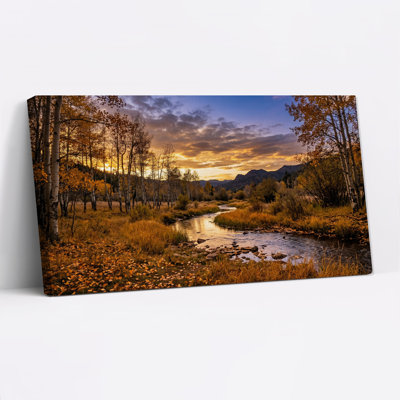 Autumn Aspen Trees by Stream at Sunset Canvas Wall Art