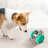 Hybrid Feeder/Toy