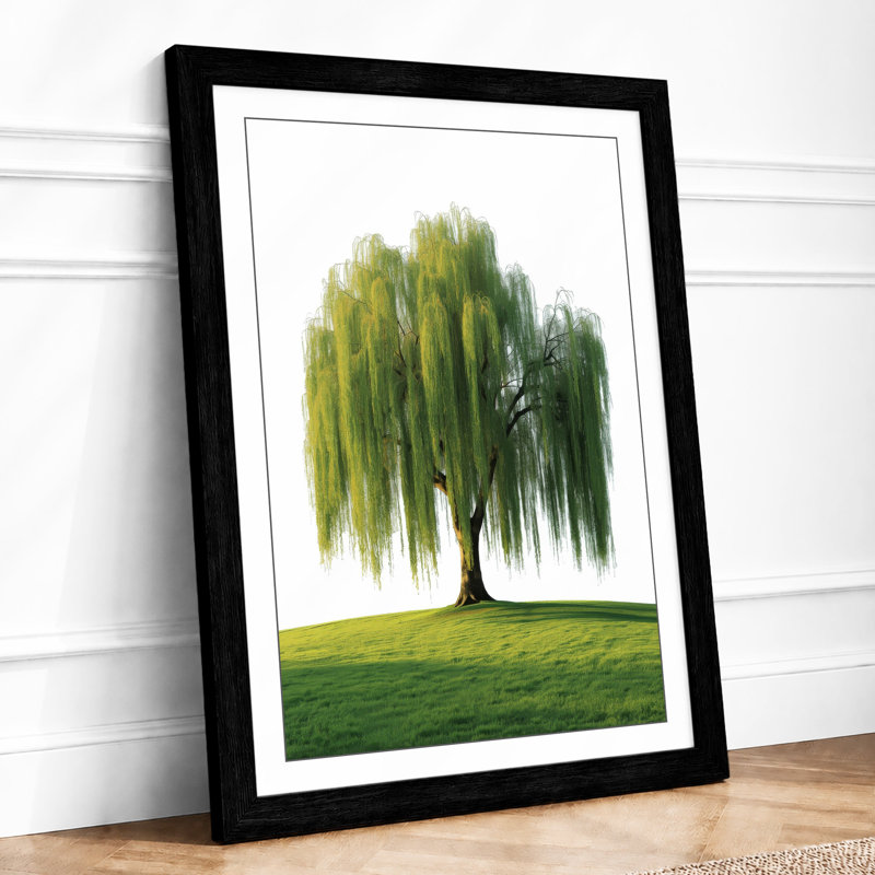 Weeping Willow Botanical - Framed Print, Black, A3 - 42.0 x 29.7 cm