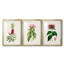 «Pretty Pink Botanicals VII», reproduction sur mesure encadrée de qualité supérieure - 3 pièces-1450346817-1450346877