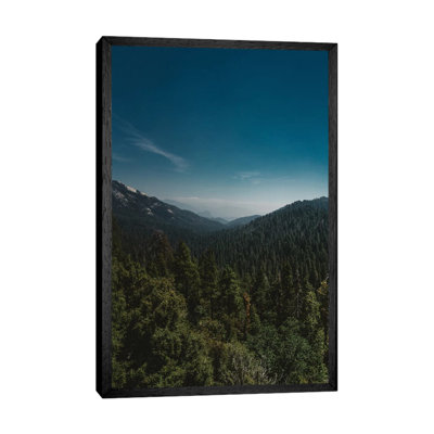 Sequoia National Park XI by Bethany Young - Print on Canvas