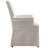 Elegant Upholstered Dining Chair  With Skirted Base, Accent Armchair For Living Room, Bedroom, Dining Room-990836601