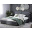 Nika Upholstered Bed-38643219-38643222