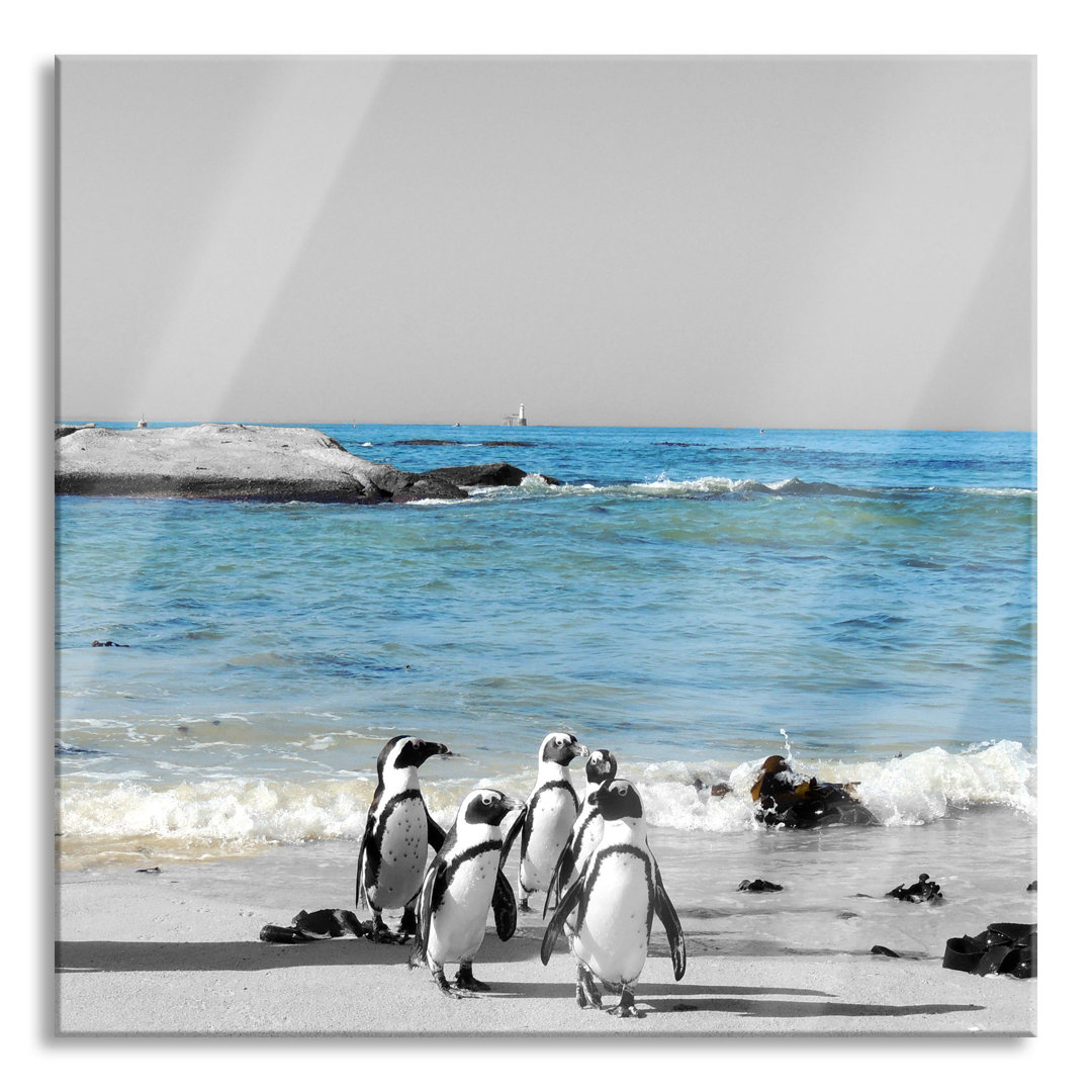 Glasbild Quadratisch | Wandbild Auf Echtglas | Lustige Pinguine Am Strand | Aufhängung Und Abstandshalter LQ5074