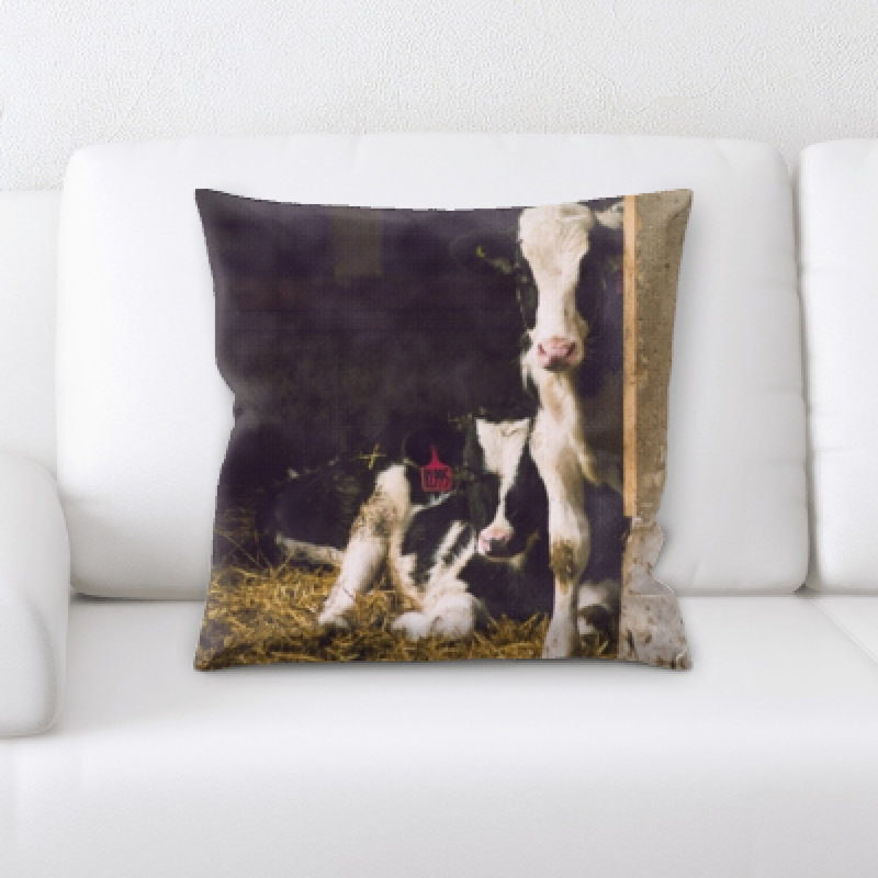 Microsuede Reversible Throw Pillow