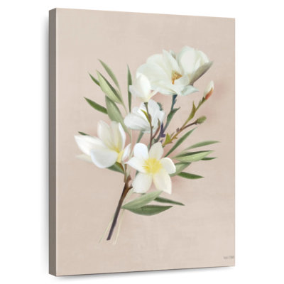 Magnolias Harnek Spring