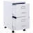 Locking Metal File Cabinet With Mobile Casters For Office Organization And Document Security-114609447