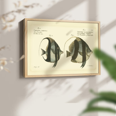 «Bloch Antique Fish I», reproduction encadrée