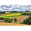Pastoral Countryside VIII by Colby Chester - Photograph Print-1397168455-1456788456
