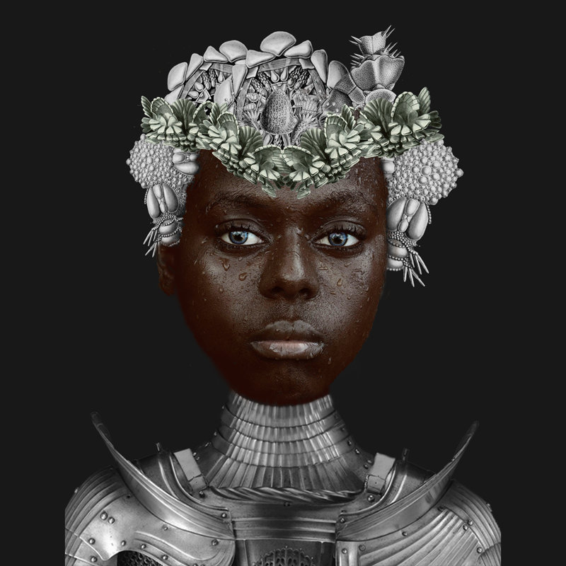 Black Beauty by Anna Wilczopolska-Jasyk - No Frame Print