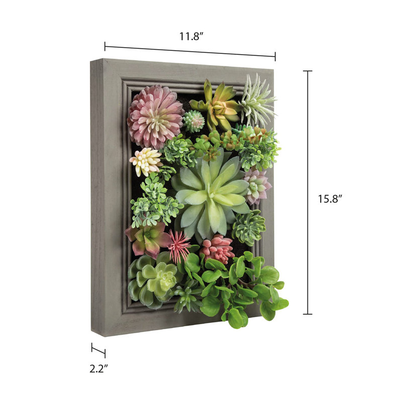 Décoration 3D de plantes succulentes murales simulées
