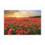 No Frame Print on Canvas-720344451