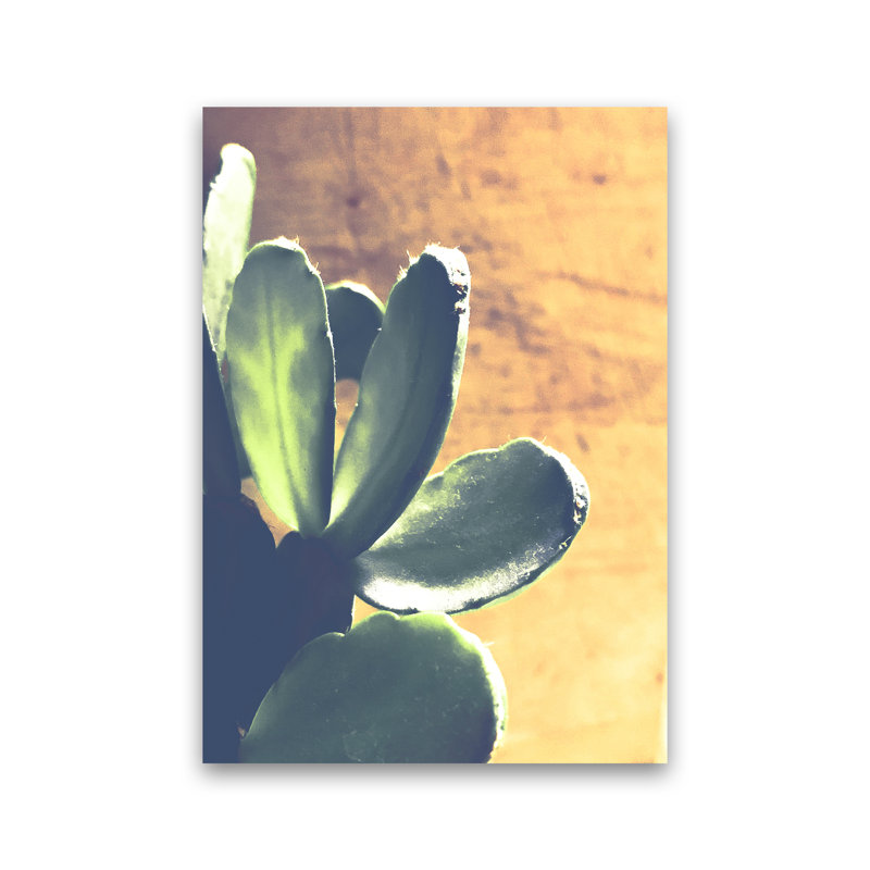 Cactus - Print, No Framed, 60cm H x 42cm W x 1cm D