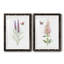 «Wildflower Botanical I», ensemble de 2 reproductions d'art-808463900-808463890-923653540