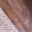 Photos des clients 2 de 4