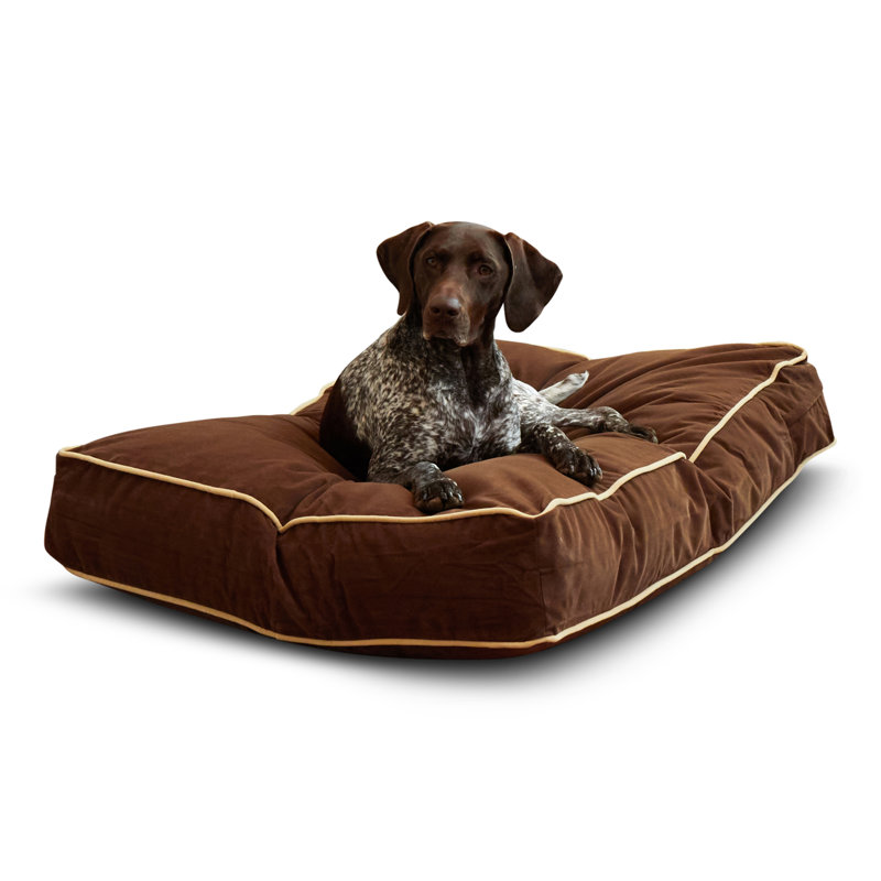 Lit pour chien Olivarez Classic, Moyen (L 42 po x l 30 po x H 6 po), Cacao