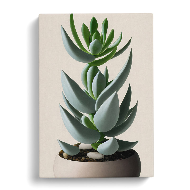 Succulent Plant - Wall Art, Wrapped Canvas, 50cm H x 35cm W, No Matte