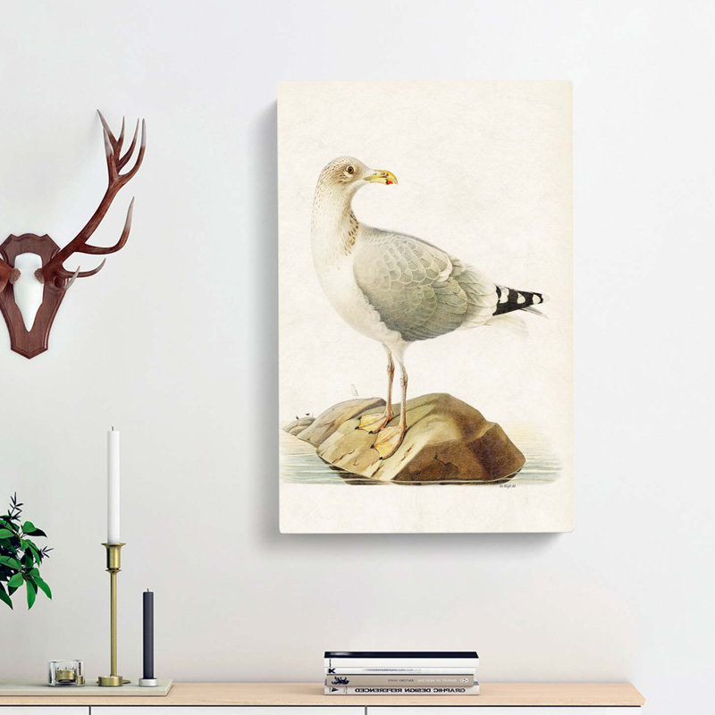 European Herring Gull by Von Wright - Wrapped Canvas Painting, 60cm H x 40cm W x 3cm D