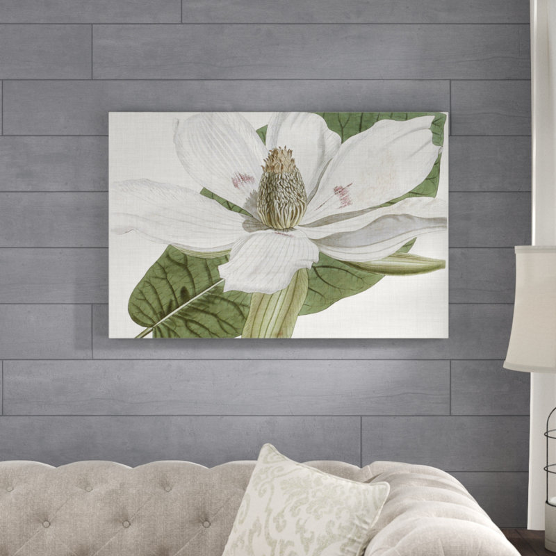 Curtis Magnolia II - Wrapped Canvas Painting Print, 61cm H x 91cm W, Wrapped Canvas