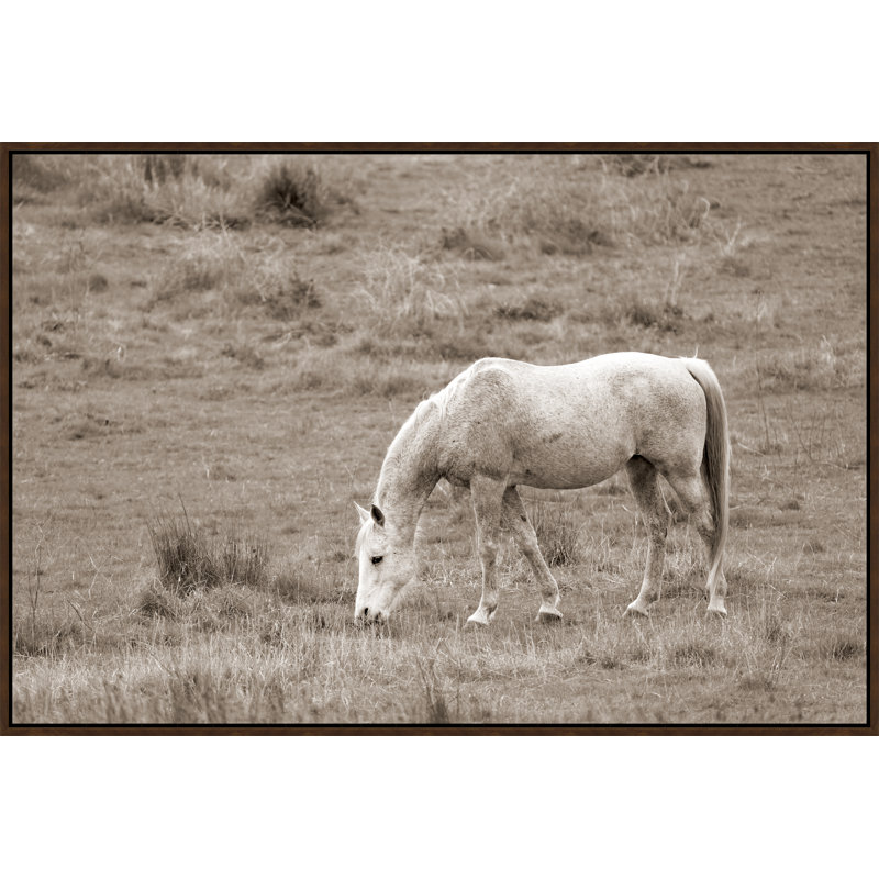 Graze III Print by Adam Mowery, 41.75" H x 61.75" W, Image Brush Gel