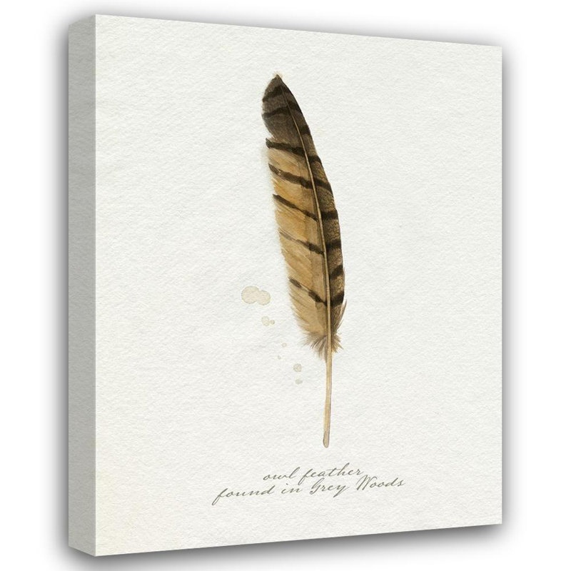 Art sur toile tendue Red Barrel Studio® Popp, Grace Gallery, Found Feather III, H 47 po x l 36 po