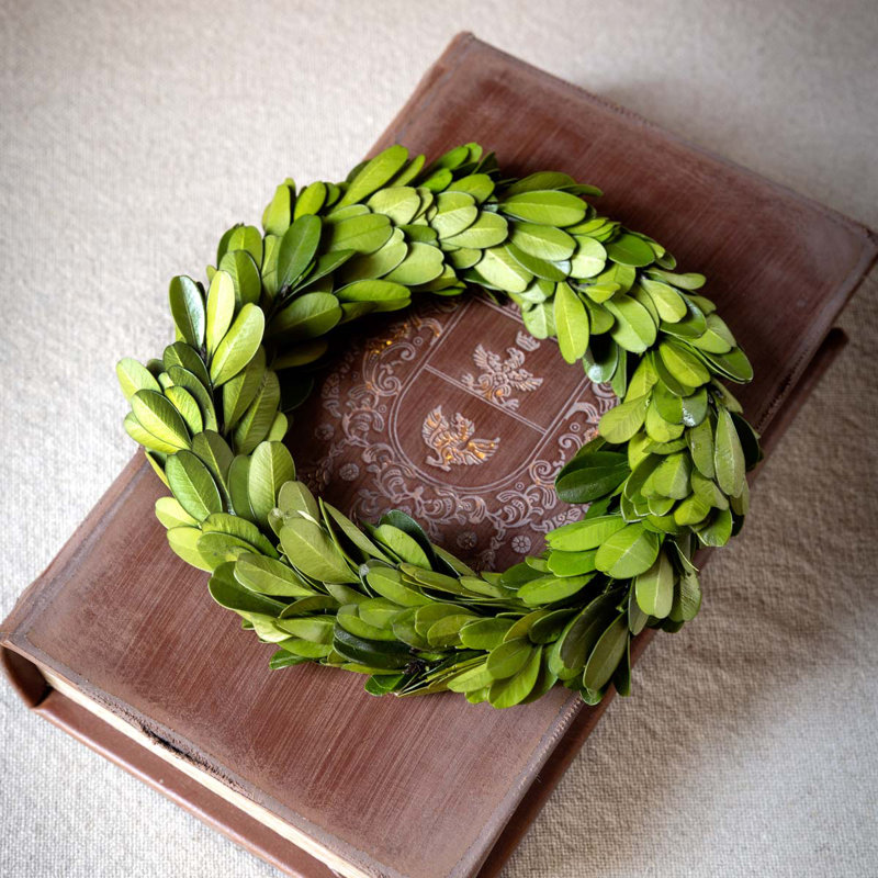 Preserved Boxwood 6" Greenery Wreath