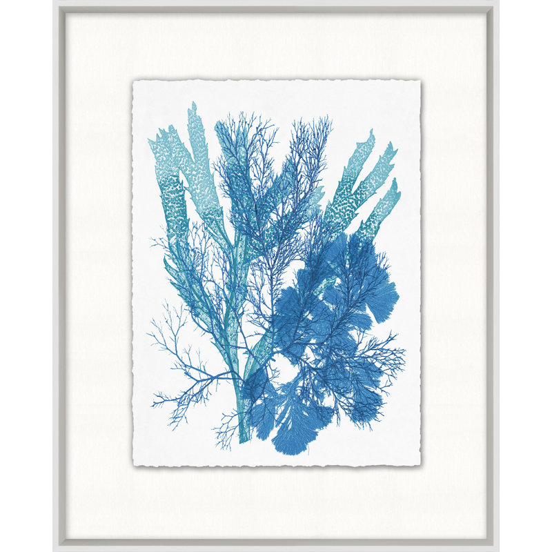 «Azure Ocean Herbarium», reproduction d'impression encadrée sur verre