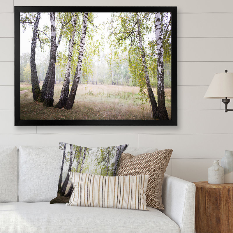 Été forêt de bouleaux - décoration murale traditionnelle sur toile, H 8 po x l 12 po, Impression noire sur toile encadrée