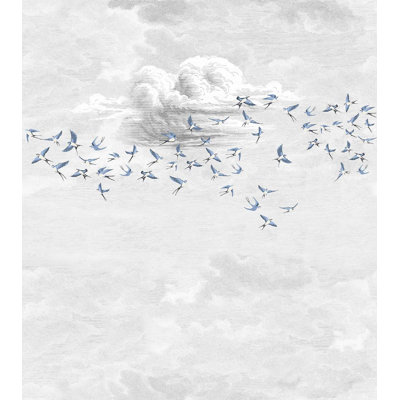 Swallow Clouds Pack 2 Arenzville