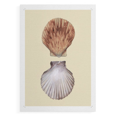 Bivalve Shells III -Canvas Print Only - NOT FRAMED
