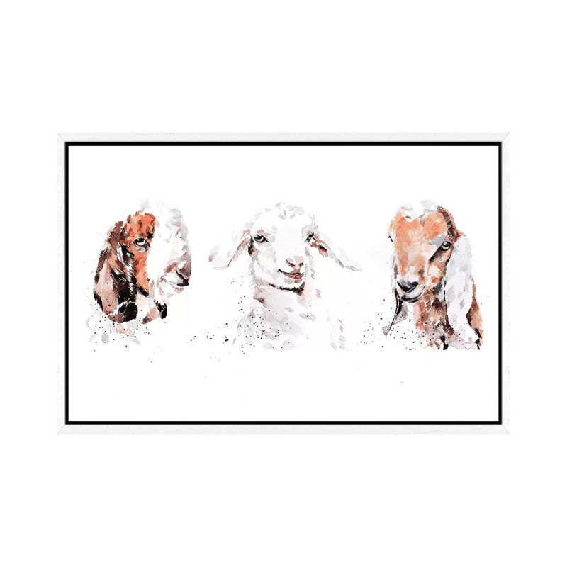 Boer Saneen And Nubian Goat Kids, The Three Kings - Painting on Canvas, 101.6 cm H x 66.04 cm W, White Framed