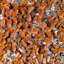Vanadinite sur cristal de goethite