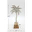 PALM TREE