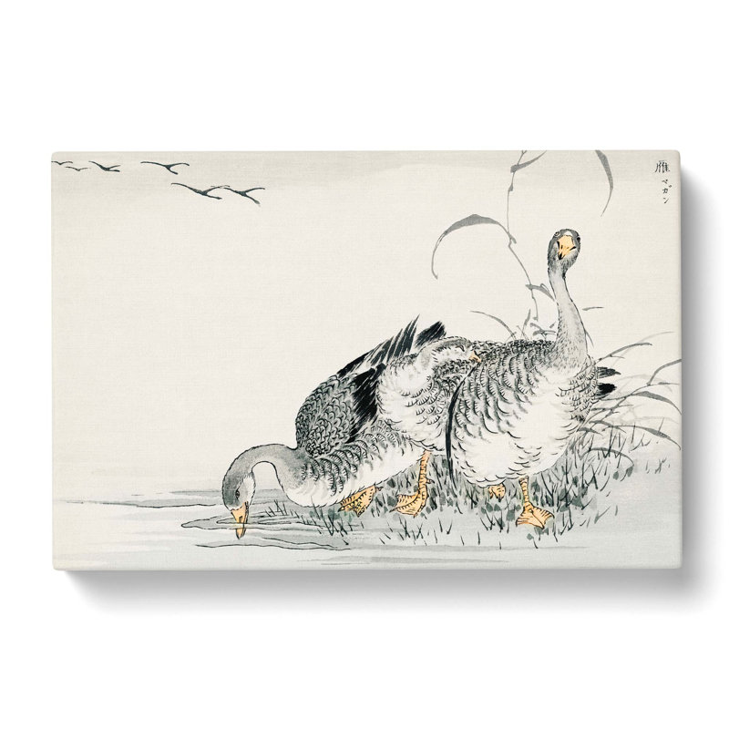 White Fronted Goose by Numata Kashu - Wrapped Canvas Painting, 35cm H x 50cm W x 3cm D