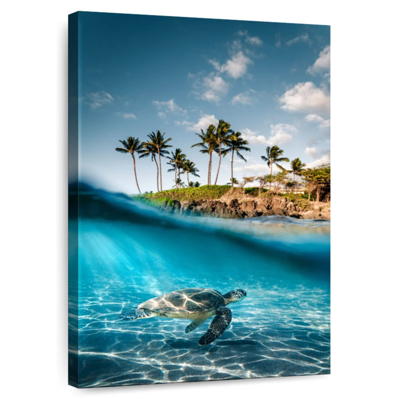 Brampt Land And Sea Turtle, 24" H x 16" W