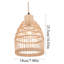 - Light Pendant