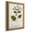 Nature imprimée Botanicals VI, toile encadrée de qualité supérieure - prête à être accrochée-595109407