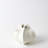 Star Fruit Vase-11372810