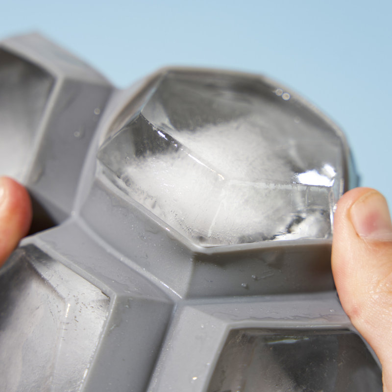 Plateau à glaçons en silicone TrueZoo