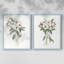 Impression encadrée Mountain Laurel I-Premium - prête à être accrochée - aucun clou requis - aucun clou requis-624468777-624468757