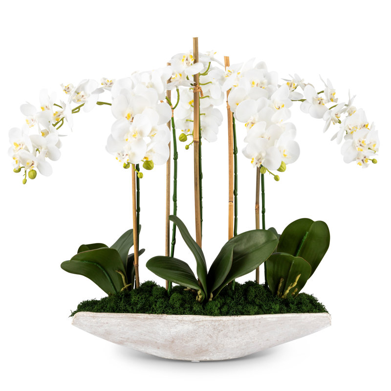 Jardinière fonctionnelle et fonctionnelle Realtouch Orchid