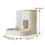 Anti-Skid Pet Bowl-121496245